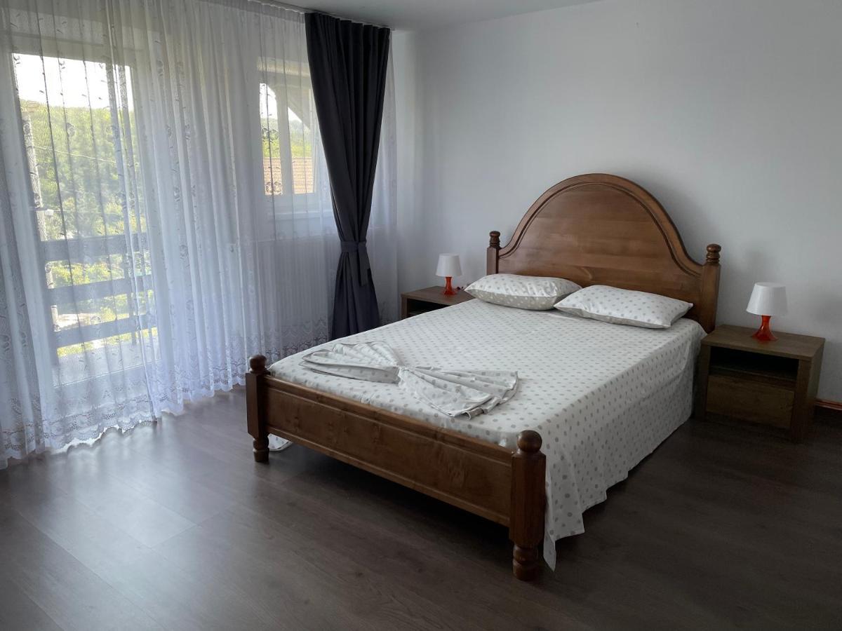 Cazare Vila Maria Apartamento Curtea de Argeş Exterior foto