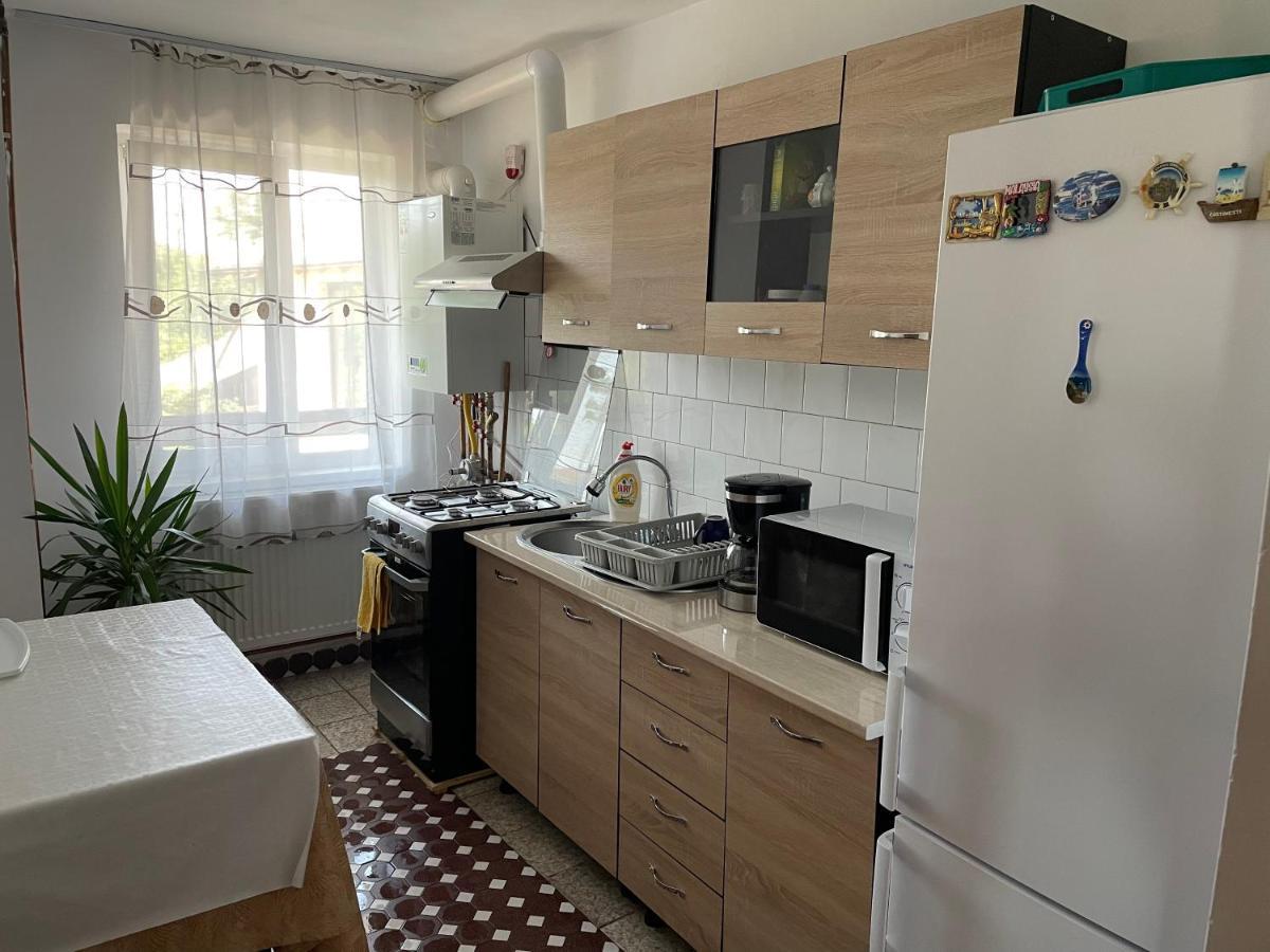 Cazare Vila Maria Apartamento Curtea de Argeş Exterior foto