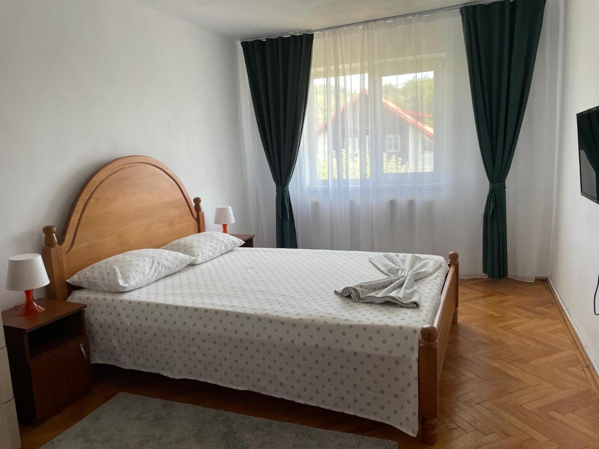 Cazare Vila Maria Apartamento Curtea de Argeş Exterior foto