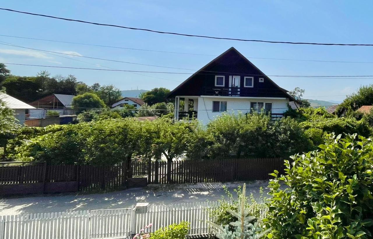 Cazare Vila Maria Apartamento Curtea de Argeş Exterior foto